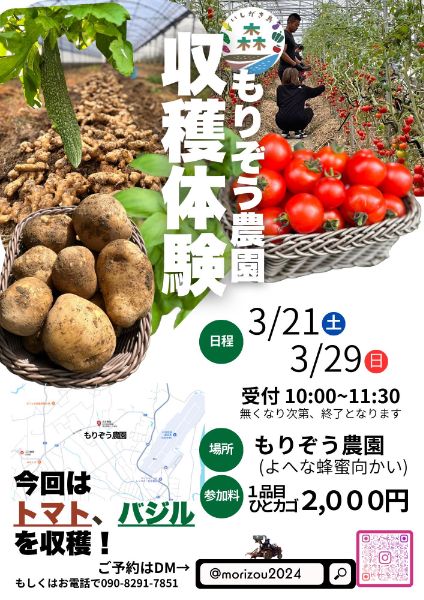 もりぞう農園 収穫体験