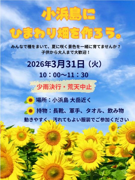 小浜島 ひまわり畑づくり 種まき体験